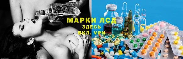 мдпв Ладушкин