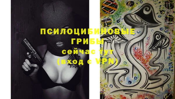 мдпв Ладушкин