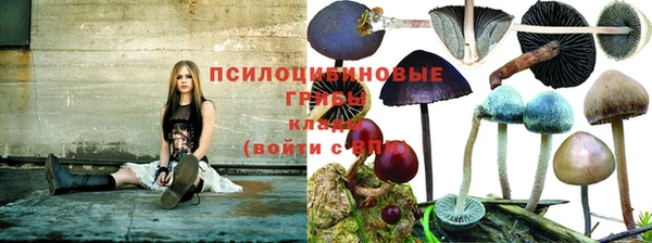 альфа пвп Лабытнанги